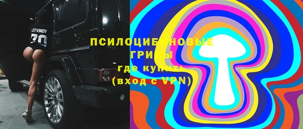 кокс Вяземский